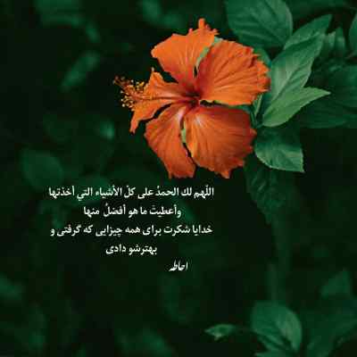 دانلود آهنگ دلبر مازندرانی خورشید این کهکشانی