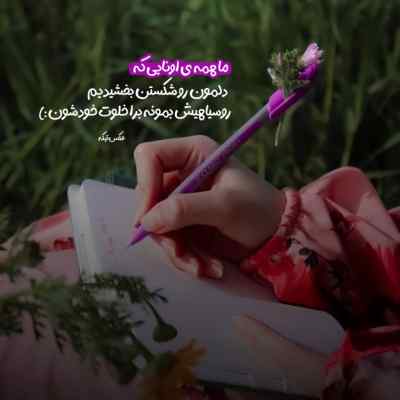 دانلود آهنگ اﻧﻔﺮادی ﺷﺪه ﺳﻠﻮل ﺑﻪ ﺳﻠﻮل ﺗﻨﻢ
