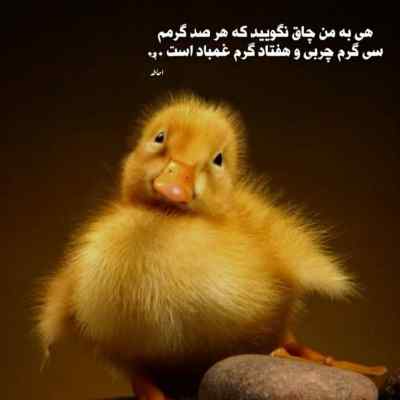 دانلود آهنگ عشق فقط سه حرفه تو پر حرفی