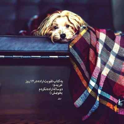 دانلود آهنگ فاز بده خوشگله میخواد قر بده