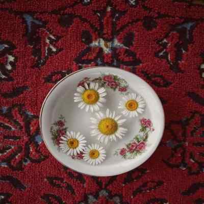 دانلود آهنگ غلام چشم آن ترکم که در خواب خوش مستی