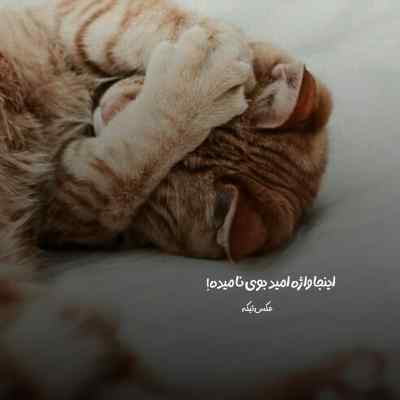 دانلود آهنگ ممه نیست تایلیوره