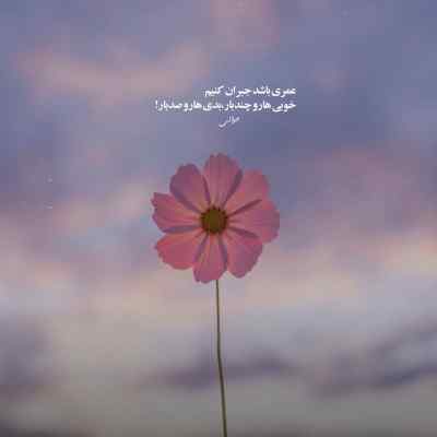 دانلود آهنگ مراقبش باش ولی دستاشو که میگیری منم یادت نره