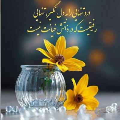 دانلود آهنگ رقص چاقوی تورو هیشکی تا حالا ندیده