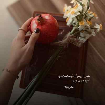 دانلود آهنگ شب یلدامو کل آرزوهامو