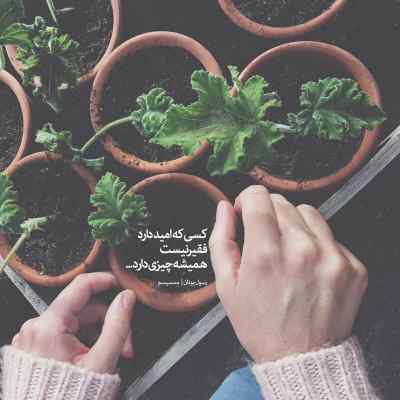 دانلود آهنگ سر درگم شاهین دلیوند