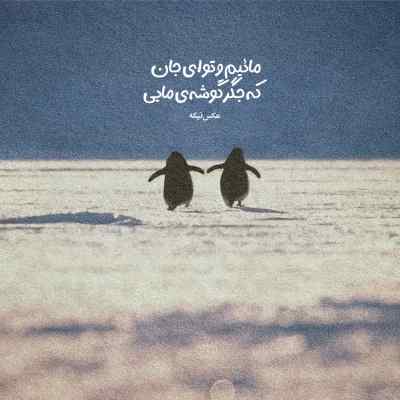 دانلود آهنگ شاه بی بی رضا کرمی تارا