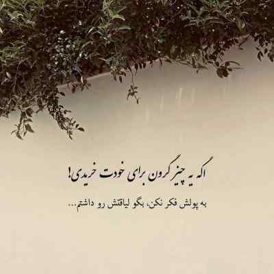 دانلود آهنگ شاه بانو جان خوشکله ماهور جان همه قلب من شده مهر تو بانو جان
