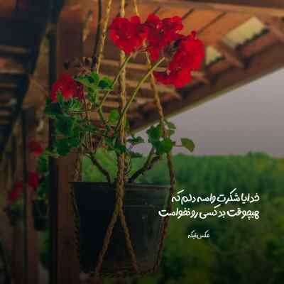 دانلود آهنگ دست خودم نیست تورو دوست دارم زیادی شایان اشراقی