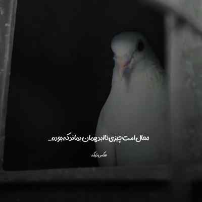 دانلود آهنگ تو که رفتی واسه من جای آشتی که نذاشتی