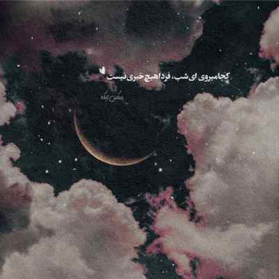 دانلود آهنگ زیدمو اون وسط من لای دستو پا دیدم