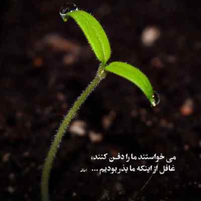 دانلود آهنگ دوتا چشمونش منو کشته تیر مژگونش ورژن اینستا