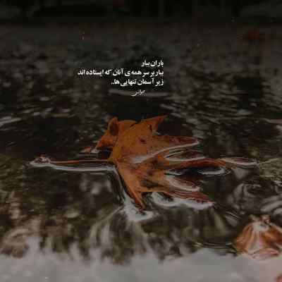دانلود آهنگ با درد بساز چون دوای تو منم علیرضا قربانی