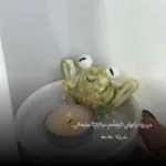 دانلود آهنگ امین بانی یه وقتی خون به دلوم نکنی