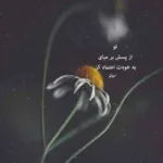 دانلود آهنگ امین حبیبی بدون تو کجا برم کنار کی بشینم دانلود آهنگ امین حبیبی بدون تو کجا برم کنار کی بشینم