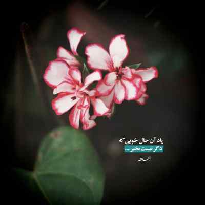 دانلود آهنگ اصن هر چی که هست تقصیر من دیگه غصه نخور مجید رضوی
