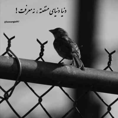 دانلود آهنگ از هر طرف میرم بستست راهم چیزی ندارم واسه ازدست دادن امیر آرسین