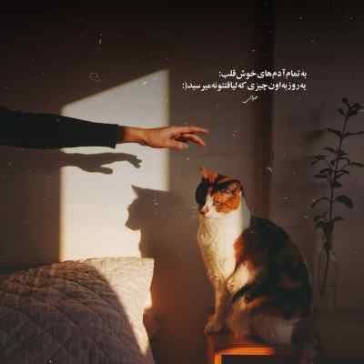 دانلود آهنگ تورو به اون که آفریده میدمت سامان جلیلی هوش مصنوعی