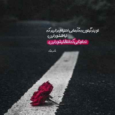دانلود آهنگ بنال ای دل که من غم دارم امشب