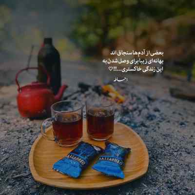 دانلود آهنگ بیو د بیو دلبندت بیه گل بو خش لری