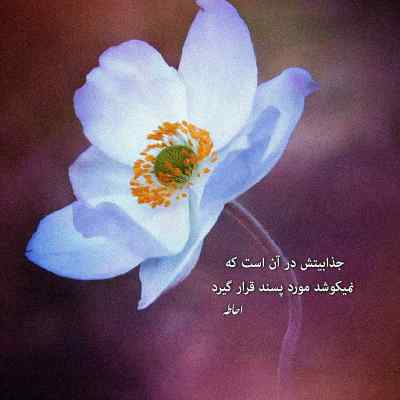 دانلود آهنگ دلم از غصه به تنگ اومده دنیا با من بر سر جنگ اومده
