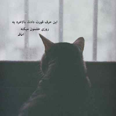 دانلود آهنگ معراج وفا ناز نازی