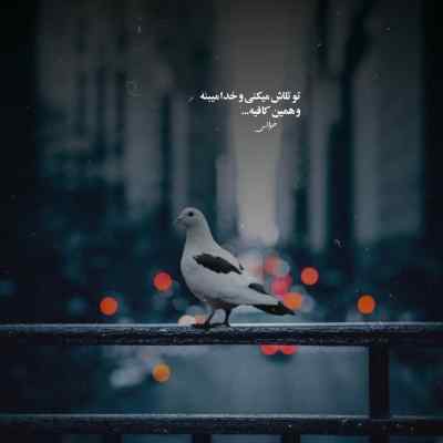 دانلود آهنگ قدیم نخی میکشیدم الان پاکتی فرهاد نامداری