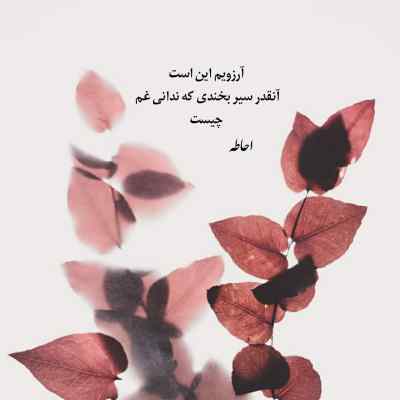 دانلود آهنگ گل آفتابگردون هر روز به انتظار دیدن یاره با صدای زن