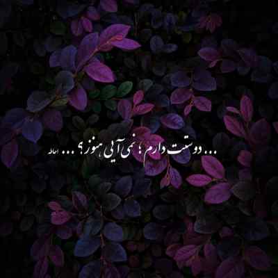 دانلود آهنگ همه دنبالم یه مینی بوس از تاک داون