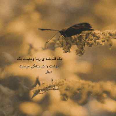 دانلود آهنگ نامه آیسم