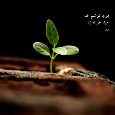 دانلود آهنگ مرام تو رو تو رفیقام کسی نداشت از شایع