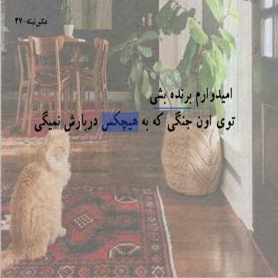 دانلود آهنگ دختره جان خودت بیا بشو همه کسم مسعود جلیلیان