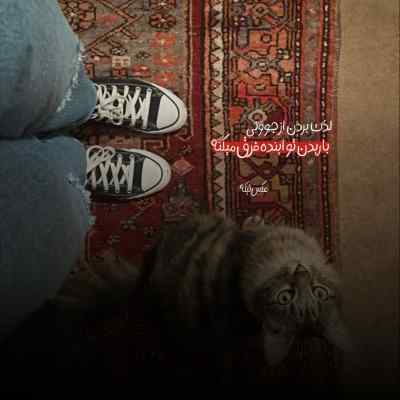 دانلود آهنگ محسن چاوشی شال کلاه کن آسمون خیسه