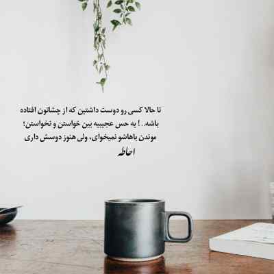 دانلود آهنگ نمونده پیشت حسی دیگه الان دیگه عشقی سییره علی گرامی