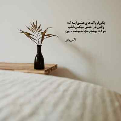 دانلود آهنگ نترس میدونی جات تو قلبم هست دانوش
