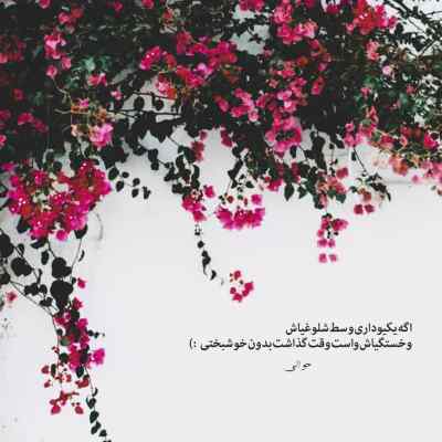دانلود آهنگ نيومده دل رفت برات ميكنه هى ضعف برات از معین زد