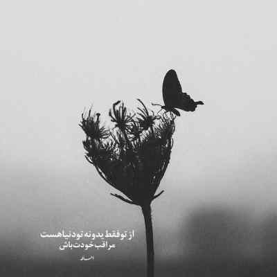دانلود آهنگ نگاه تو روی منه کشته منو از مجید رضوی