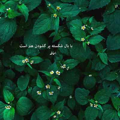 دانلود آهنگ پرواز میکنم میرم از کنار اون که هر بار میومد میرفت