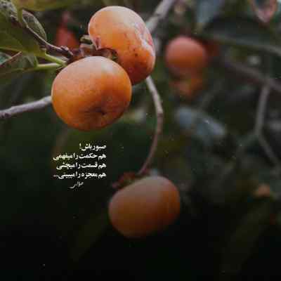دانلود آهنگ Колыбельная از Rauf & Faik روسی اینستا