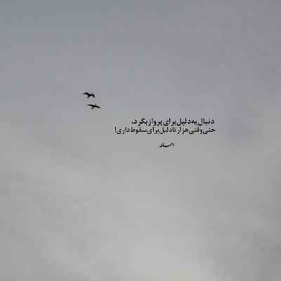 دانلود آهنگ سرت گرمه الان دورتن همه از مرتضی وکیلی