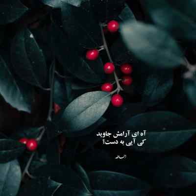 دانلود آهنگ اگه یک روز منو دیدی تو خیابونای این شهر سهراب اسدی