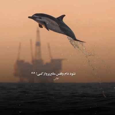 دانلود آهنگ ﺳﻠﻄﺎن دﻟﻢ ﻧﺎز دﻟﻢ ﺧوشکل ﻣﻮ ﻣﺸﻜﻰ ﺧﻮدم میلاد راستاد