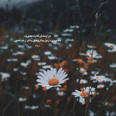 دانلود آهنگ شب بمون از دشی