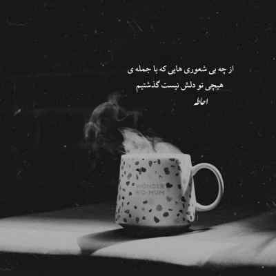 دانلود آهنگ تو گل یاسمنی شاخه ی نسترنی از شاهرخ