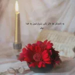دانلود آهنگ ویگن گل پیش روی تو ای گل من دیگر تماشا ندارد دانلود آهنگ ویگن گل پیش روی تو ای گل من دیگر تماشا ندارد