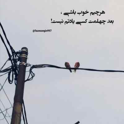 دانلود آهنگ basqany :( از AYAU & Shiza & M'Dee روسی