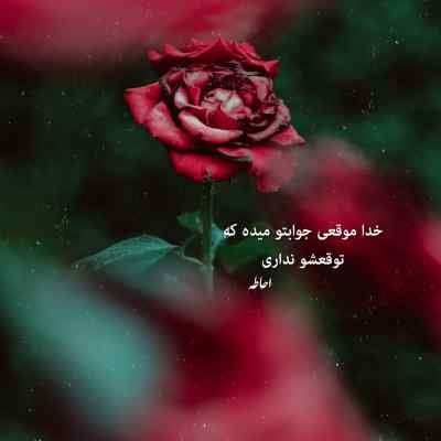 دانلود آهنگ بیا عشقم بیا جونم بیا دلم هواتو کرده با صدای زن