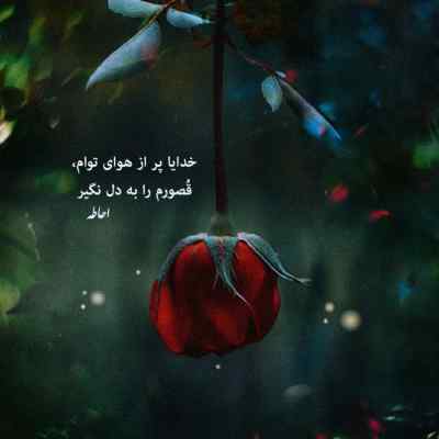 دانلود آهنگ قید همه چیزو زدم واسه اینکه تو الان باهامی