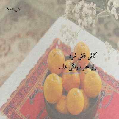 دانلود آهنگ غریبه ای اما دلم برات پر میزنه