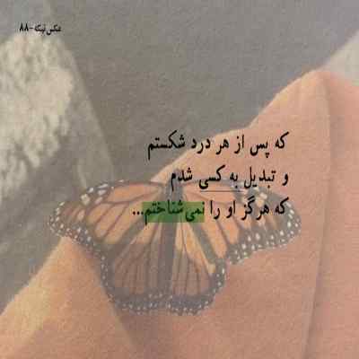 دانلود آهنگ گل گلخونه من یکی یکدونه من با صدای زن